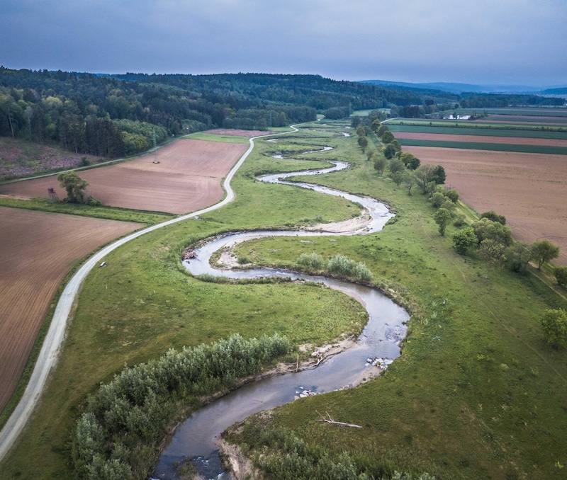 Erfolgreiches Renaturierungsprojekt. Die 2017 abgeschlossene Maßnahme bei der Pinka schützt die Stadt Oberwart vor Hochwasser und ist beliebtes Ausflugsziel für naturhungrige. (Bild: Norbert Husbauer)