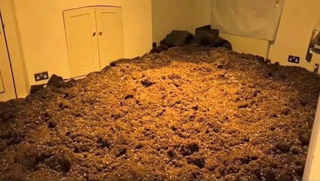 Tonnen von Erde im ehemaligen Wohnzimmer des Vermieters (Bild: BBC (Screenshot))