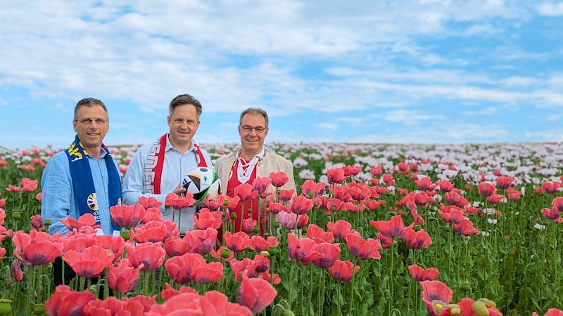 Franz Tiefenbacher, Johannes Schmuckenschlager and Tom Bauer in the poppy field, which is blooming patriotically for our European Championship team (Bild: Waldland)