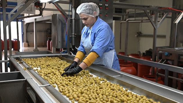 Arbeiterin in einer Olivenfabrik (Bild: AFP/AFP )