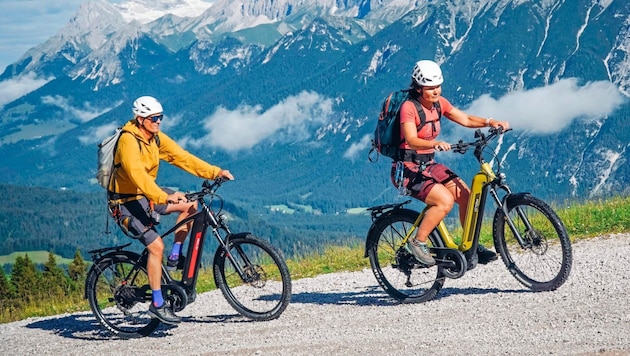 Trotz gesetzlicher Regelung unterstützt nicht jeder E-Bike-Antrieb gleich. (Bild: Wallner Hannes)