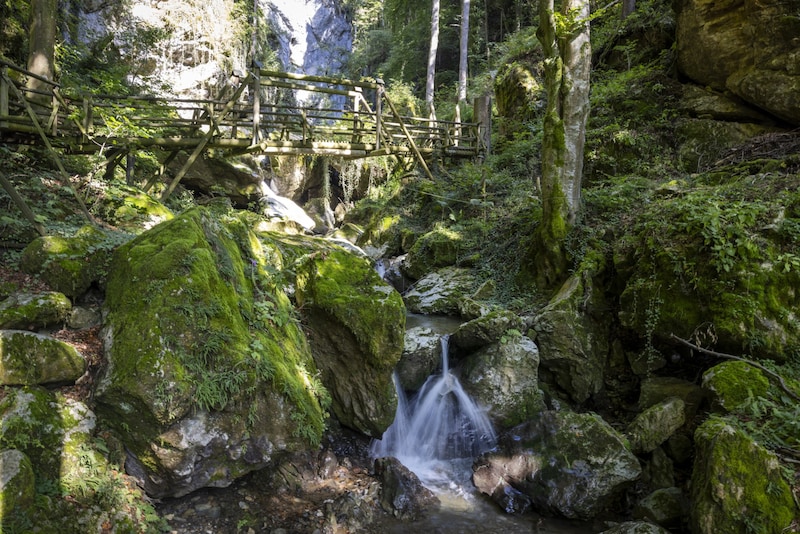 A hiking trail leads up the Schöckl through the Kesselfallklamm gorge. (Bild: Harald Eisenberger)