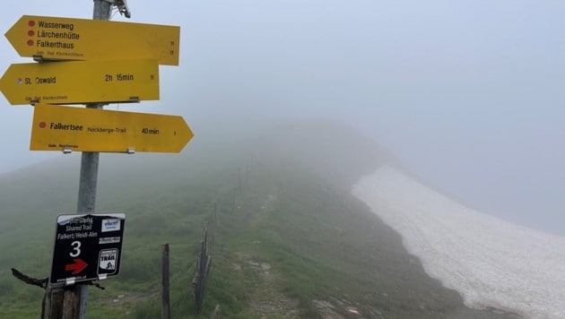 Bei der Hundsfeldscharte, südlich des Falkertköpfls. (Bild: Zwickl)