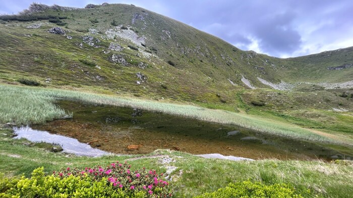 Der Pfannocksee ist nicht aufgrund seiner Größe bekannt, doch es geht ja bekanntlich selten um ...