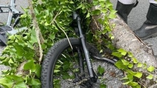 Der Baum landete mitten am Fahrrad.