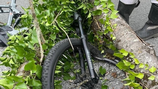 Der Baum landete mitten am Fahrrad.