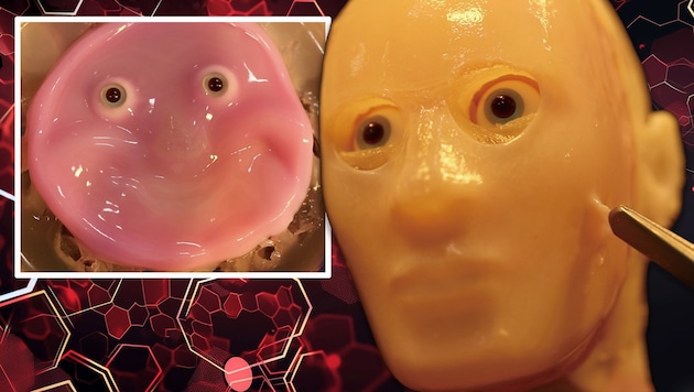 Artificial skin gives robots a more human face. (Bild: Krone KREATIV/©2024 Takeuchi et al. CC-BY-ND, kanurism – stock.adobe.com)