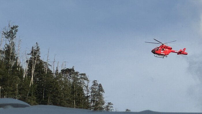 The accident happened on the descent from the Schoberstein in Steinbach am Attersee. The crew of ...