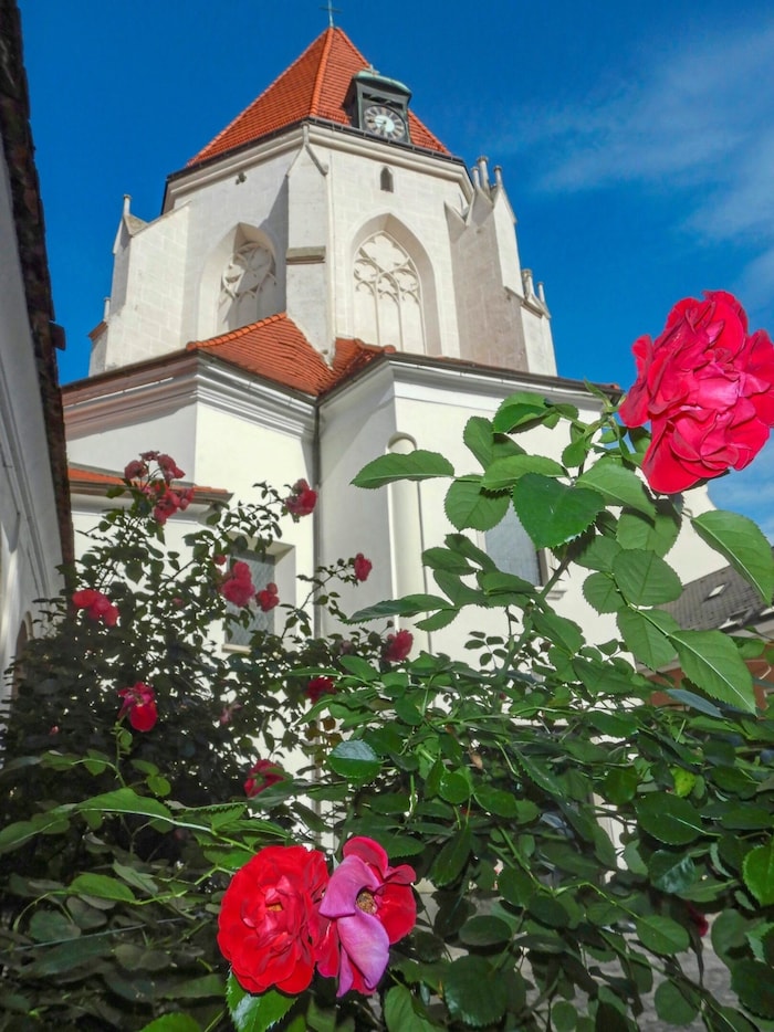 ... and the Capuchin church of St. Jacob in Wiener Neustadt