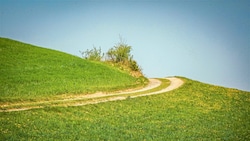 Der Franziskusweg NÖ-Süd zählt mittlerweile zu den beliebtesten Pilgerwegen im Osten ...