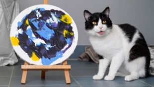 Kater Alsonso mit seinem Werk