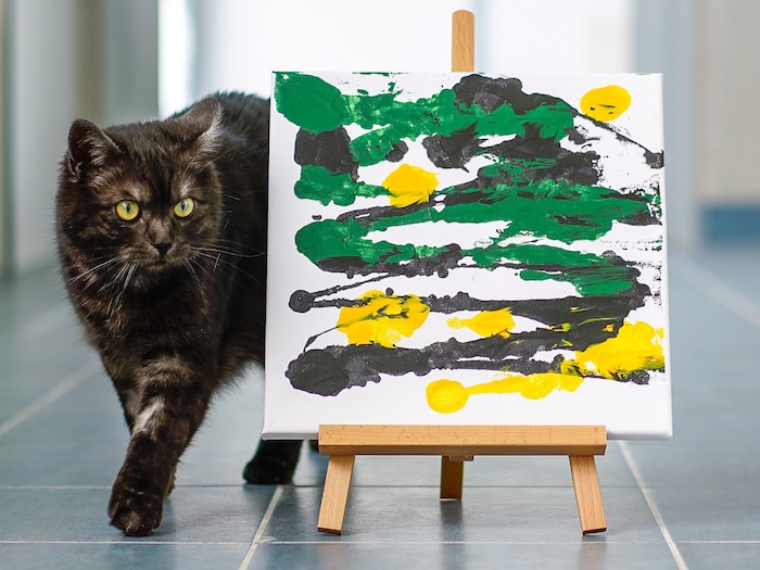 "Diesel" has already impressed with his talent: he already has a new home.