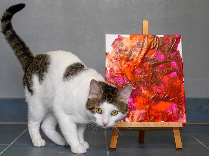 Armin the cat with his abstract composition in red