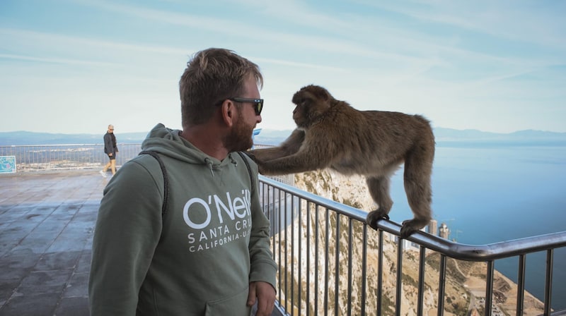 Martin with a monkey on Gribraltar. (Bild: van.wir.reisen)