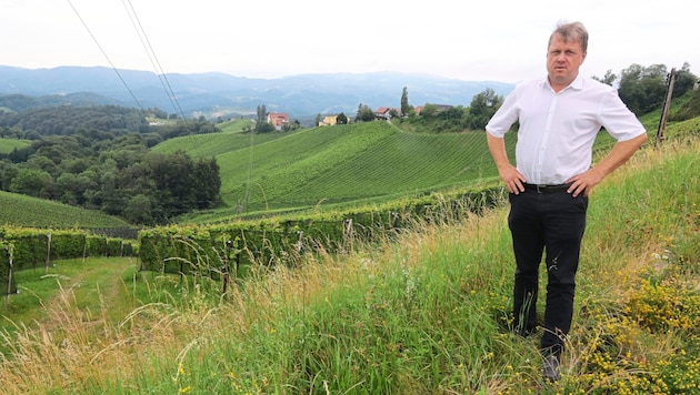 A new accommodation facility is to be built on the Gamlitzer Eckberg (pictured: Mayor Friedrich Partl) in a prime panoramic location. (Bild: Jauschowetz Christian/Christian Jauschowetz)