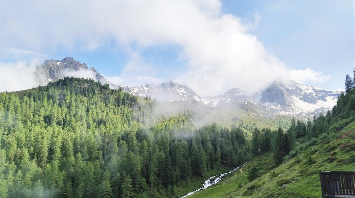 Dreitausender bilden das Panorama bei der Alm.