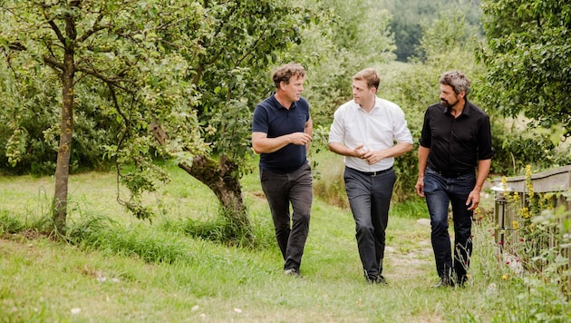 Klima-Landesrat Stefan Kaineder (Mitte), Landwirt Klaus Bauernfeind (links) und Forscher Professor Franz Essl (r.). (Bild: Krone KREATIV/Werner Dedl)