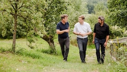 Klima-Landesrat Stefan Kaineder (Mitte), Landwirt Klaus Bauernfeind (links) und Forscher Professor Franz Essl (r.). (Bild: Krone KREATIV/Werner Dedl)