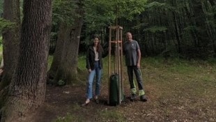 Eine neue Eiche wurde nun beim Naturdenkmal gepflanzt.
