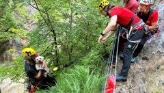 Mit vereinten Kräften konnte der Hund geborgen werden. (Bild: zoom.tirol)