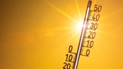 Wenn das Thermometer über 30 Grad klettert, sollte man Vorsichtsmaßnahmen ergreifen. (Bild: stock.adobe.com/Guenter Albers – stock.adobe.com)