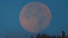 Es gibt eine Erklärung für die dunklen Flecken am Mond (Bild: Georg Wastl)