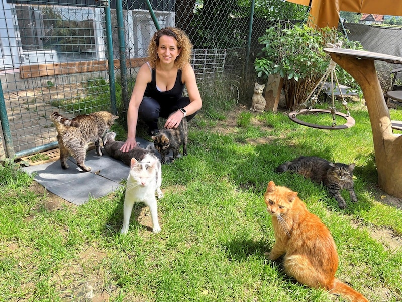 Verschmust, dankbar und lebensfroh: Die Katzen genießen dank Bettina Bernadowitschs Engagement ihr Leben trotz Handicaps.  (Bild: Baumgartner)