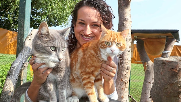 The life's work of cat mom Bettina Bernadowitsch is on the brink of collapse. She has to find a new home for her adorable fosterlings and carry out extensive renovations. (Bild: Radspieler Jürgen)