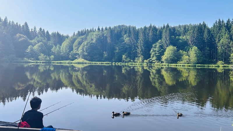 Idylle pur um neun Uhr morgens beim Tauernteich.  (Bild: Zwickl)