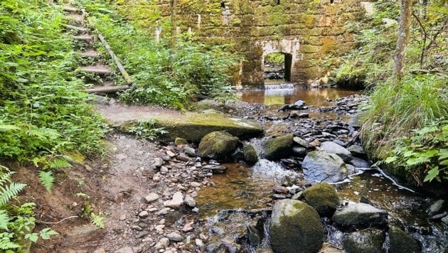 Der Schluchtweg ist ein wildromantischer, steiler Steig, der bis zum Tauernteich führt. (Bild: Zwickl)