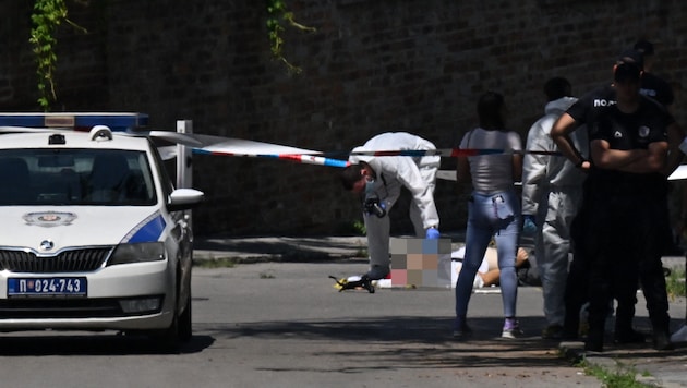 Laut Innenministerium verwundete der Angreifer den Beamten am Hals.  (Bild: AFP/AFP, Krone KREATIV)