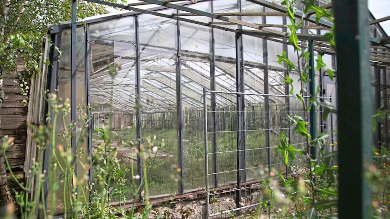 The glasshouses of the nursery, which opened in Salzburg in 1929, have been sold. (Bild: Tröster Andreas/ANDREAS TROESTER)