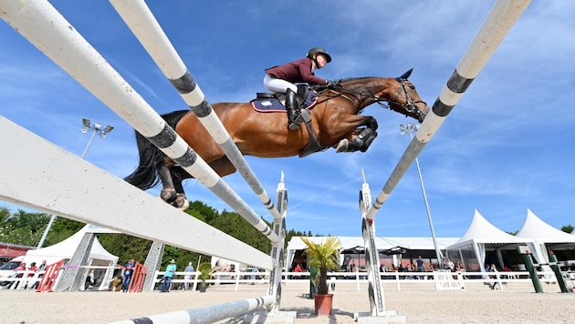 The feasibility of spectacular show jumping events is being tested on the banks of the Danube. (Bild: Tommy Kreidl)