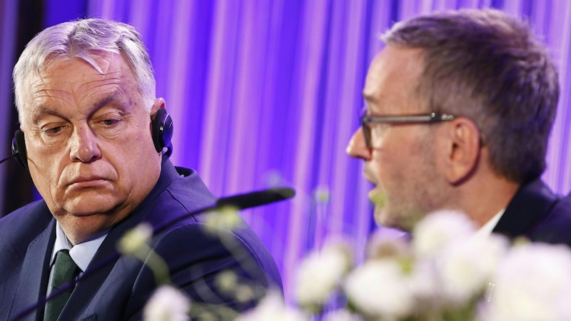 Orbán Viktor miniszterelnök hallgatja új frakciótársa szavait. (Bild: APA/TOBIAS STEINMAURER)