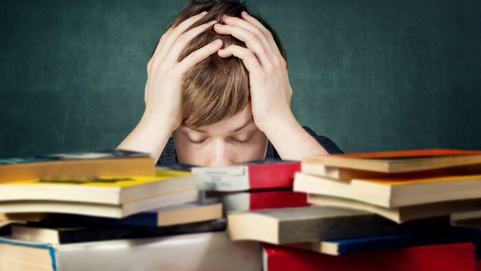 Almanya'daki her 14 öğrenciden biri yazın kendini öğrenmeye adamak zorunda.