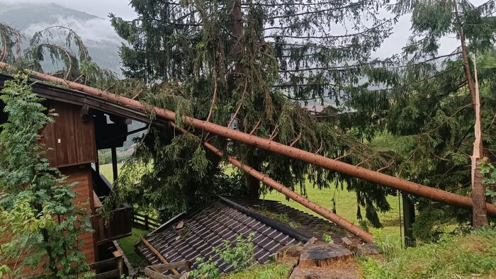 Tree falls on a house in Alpbach.