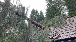In Kirchbach stürzte ein Baum auf ein Haus.