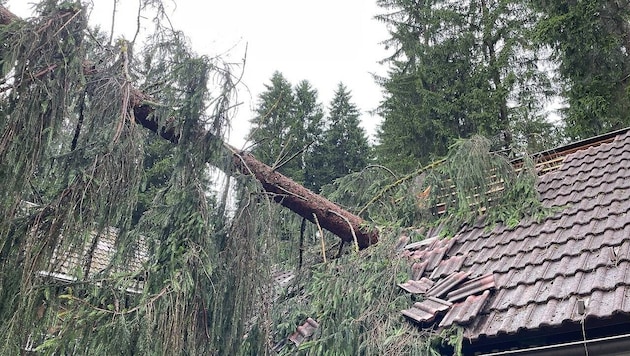 A tree fell onto a house in Kirchbach. (Bild: FF Kirchbach)