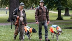 Hundeführer Helga Skagedaugg und Christian Kapaun mit „Aura“ und „Buddy“ nehmen an der Großübung teil - gemeinsam durchforsten die Beteiligten das Gebiet nach Wildschwein-Kadavern. (Bild: Land Steiermark/Robert Binder)