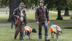 Hundeführer Helga Skagedaugg und Christian Kapaun mit „Aura“ und „Buddy“ nehmen an der Großübung teil - gemeinsam durchforsten die Beteiligten das Gebiet nach Wildschwein-Kadavern. (Bild: Land Steiermark/Robert Binder)