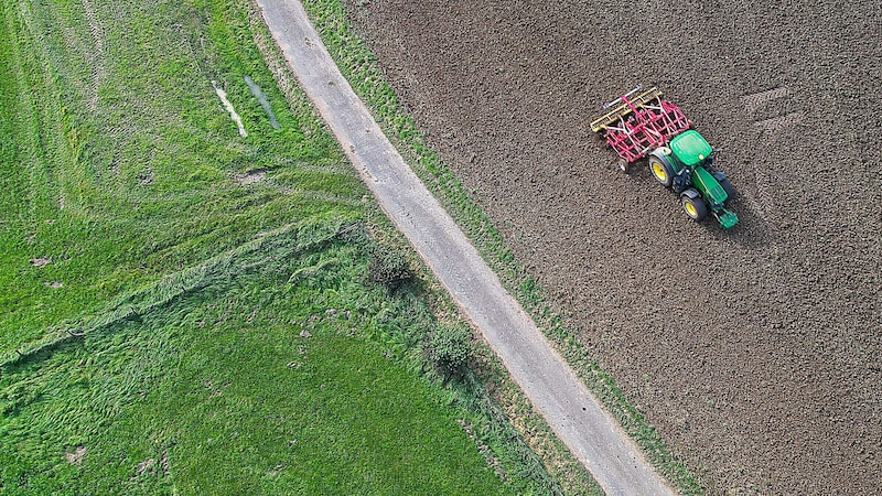 Der Einsatz des umstrittenen Unkrautvernichters Glyphosat ist in der EU im Vorjahr für zehn weitere Jahre verlängert worden. (Bild: AFP/Kenzo TRIBOUILLARD)