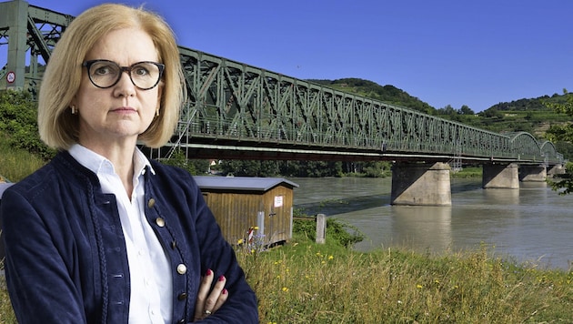 Neos-Verkehrssprecherin Edith Kollermann fordert zur Instandsetzung der maroden Donaubrücke in Mautern nun Antworten vom Land Niederösterreich ein. (Bild: Krone KREATIV/Neos NÖ (Freisteller) Attila Molnar (Brücke))