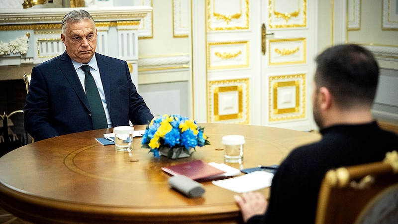 Orbán und Selenskyj beim Vieraugengespräch (Bild: APA/AP)