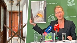 Judith Pühringer präsentierte horrende Beispiele. (Bild: Krone KREATIV/Wiener Grüne, Viktoria Graf)