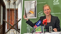 Judith Pühringer präsentierte horrende Beispiele. (Bild: Krone KREATIV/Wiener Grüne, Viktoria Graf)