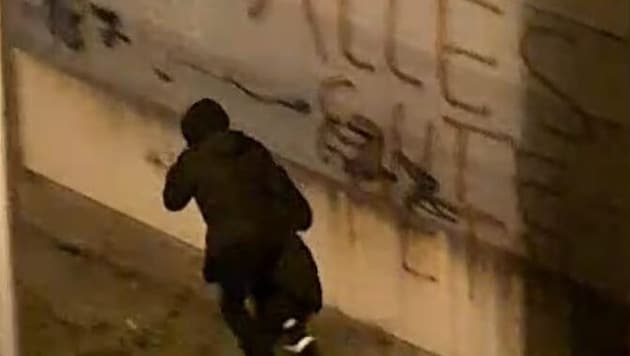 The clumsy escape was also captured on video. (Bild: Leserreporter/„Krone“-Lesereporter)