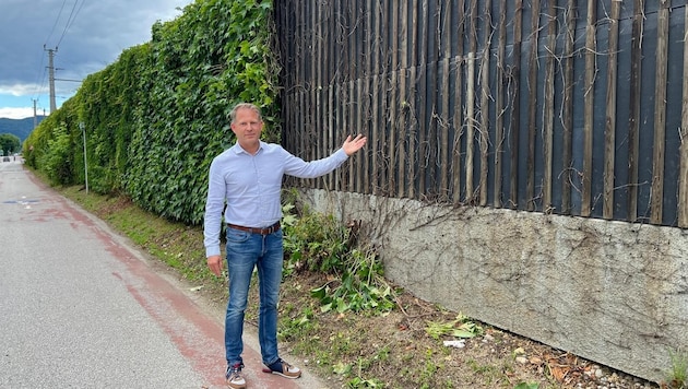 Krumpendorfer Gemeinderat Markus Steindl vor der Lärmschutzwand, deren wilder Wein bereits einen brutalen Kahlschlag erlitten hat.   (Bild: zVg)