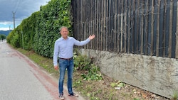 Krumpendorfer Gemeinderat Markus Steindl vor der Lärmschutzwand, deren wilder Wein bereits einen brutalen Kahlschlag erlitten hat.   (Bild: zVg)
