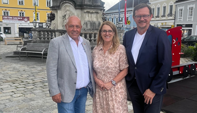 Herbert Kraus, Ulrike Königsberger-Ludwig und Rudolf Silvan sprachen in Zwettl Klartext über das Gesundheitssystem. (Bild: René Denk)