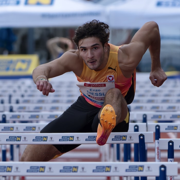 Enzo Diessl